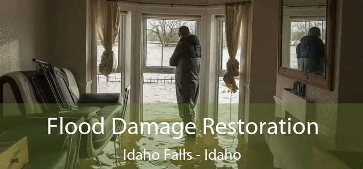 Flood Damage Restoration Idaho Falls - Idaho