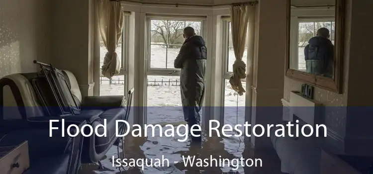 Flood Damage Restoration Issaquah - Washington