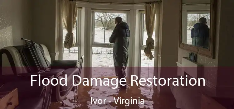 Flood Damage Restoration Ivor - Virginia