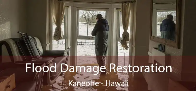 Flood Damage Restoration Kaneohe - Hawaii