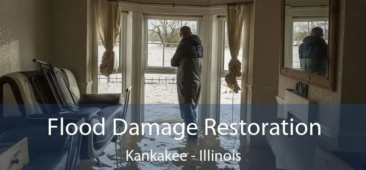 Flood Damage Restoration Kankakee - Illinois