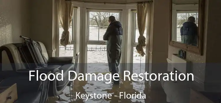 Flood Damage Restoration Keystone - Florida