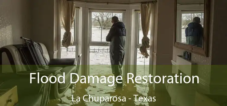 Flood Damage Restoration La Chuparosa - Texas