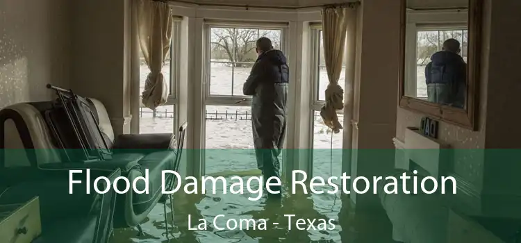 Flood Damage Restoration La Coma - Texas