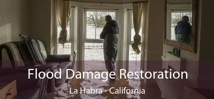 Flood Damage Restoration La Habra - California