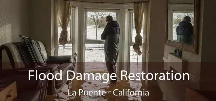 Flood Damage Restoration La Puente - California