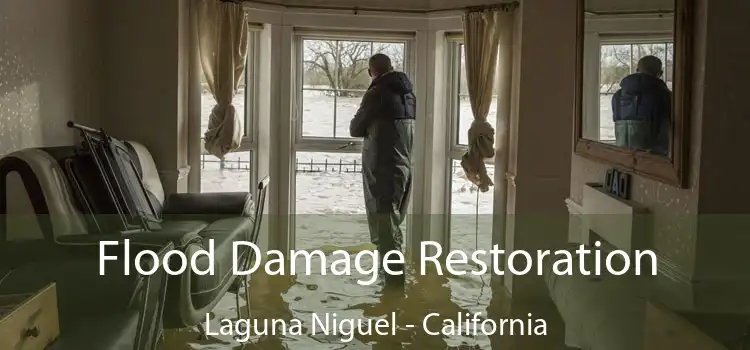 Flood Damage Restoration Laguna Niguel - California