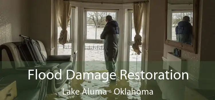 Flood Damage Restoration Lake Aluma - Oklahoma