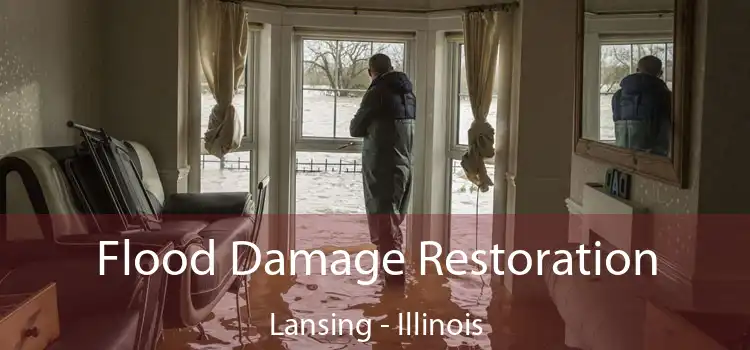 Flood Damage Restoration Lansing - Illinois