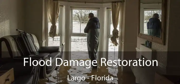 Flood Damage Restoration Largo - Florida