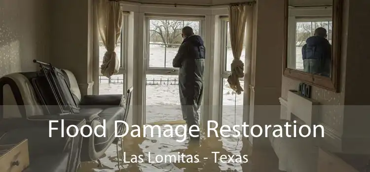 Flood Damage Restoration Las Lomitas - Texas