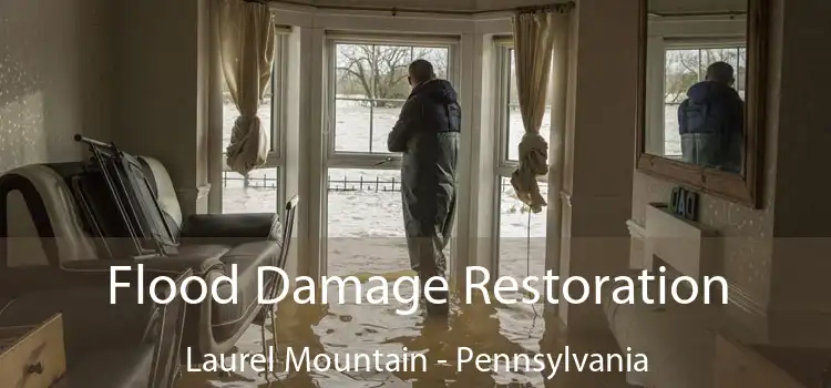 Flood Damage Restoration Laurel Mountain - Pennsylvania