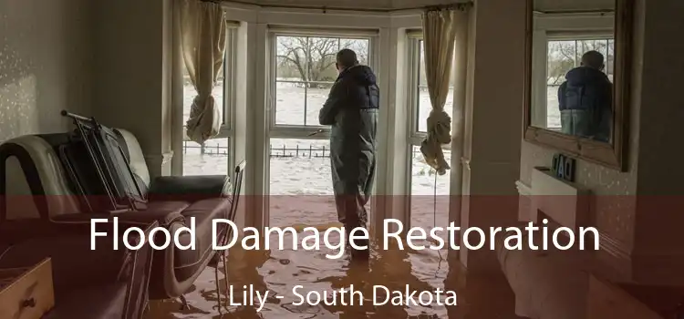 Flood Damage Restoration Lily - South Dakota