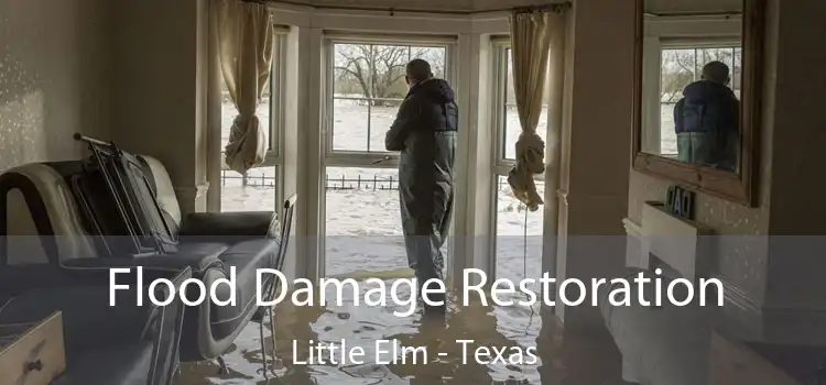 Flood Damage Restoration Little Elm - Texas