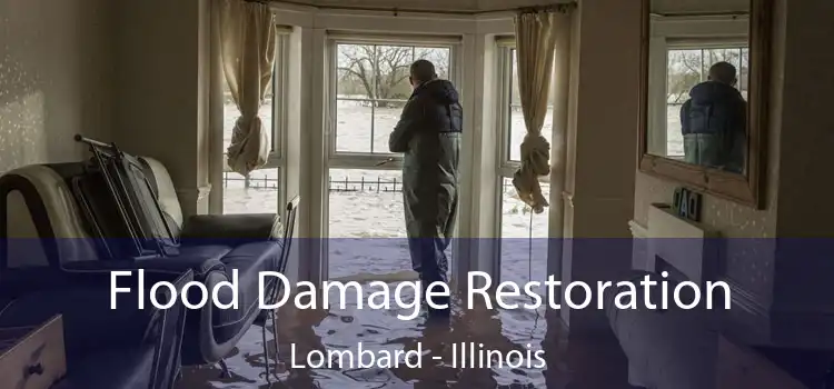 Flood Damage Restoration Lombard - Illinois