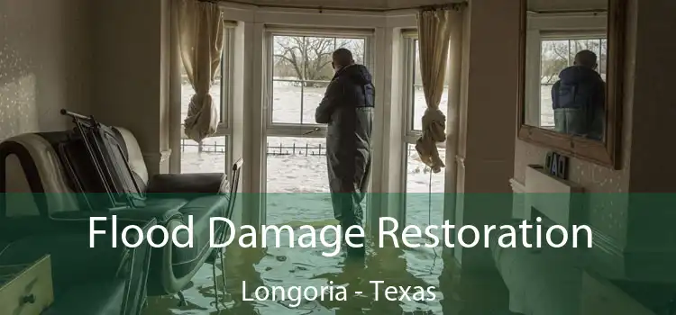 Flood Damage Restoration Longoria - Texas