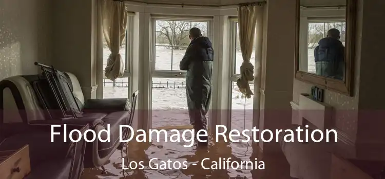 Flood Damage Restoration Los Gatos - California