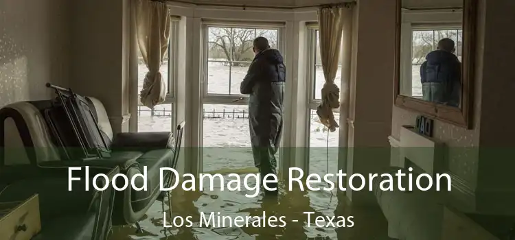 Flood Damage Restoration Los Minerales - Texas