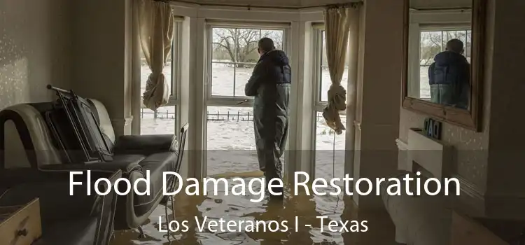 Flood Damage Restoration Los Veteranos I - Texas