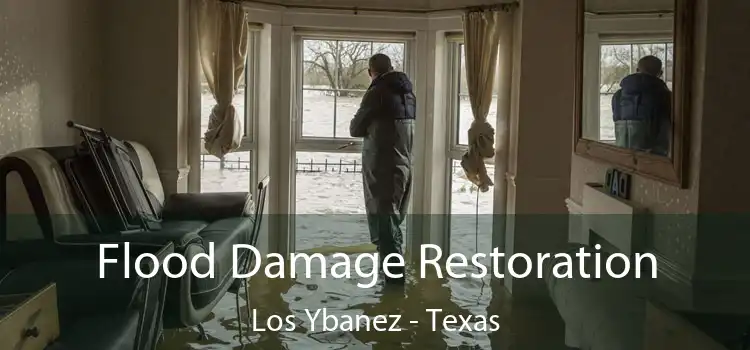 Flood Damage Restoration Los Ybanez - Texas