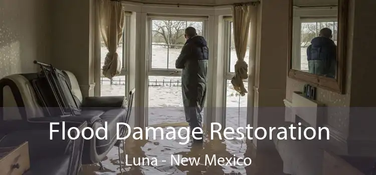 Flood Damage Restoration Luna - New Mexico