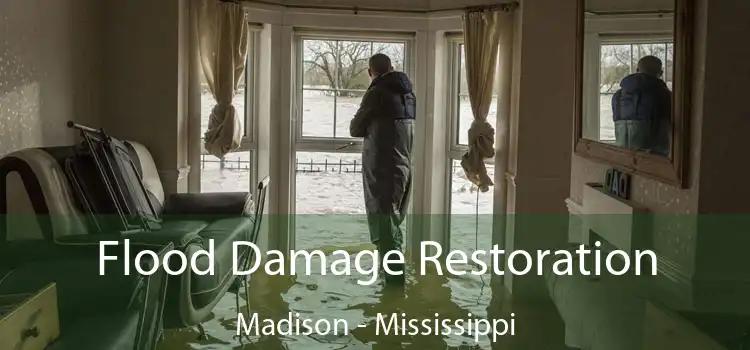 Flood Damage Restoration Madison - Mississippi