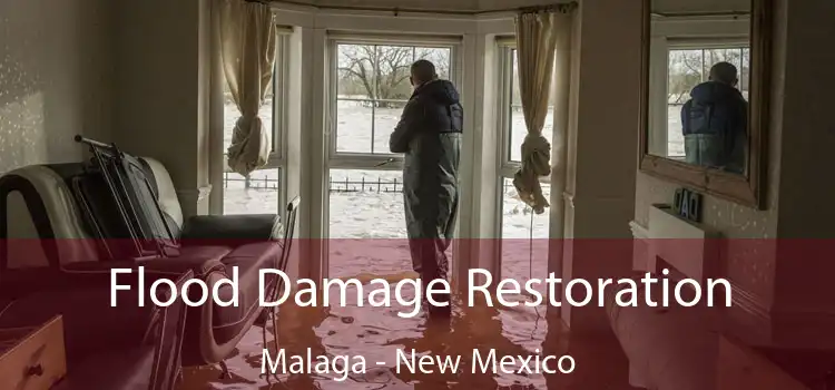 Flood Damage Restoration Malaga - New Mexico