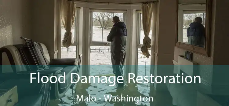 Flood Damage Restoration Malo - Washington