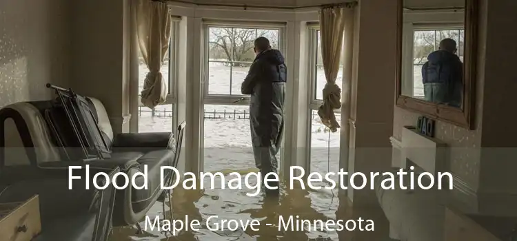 Flood Damage Restoration Maple Grove - Minnesota