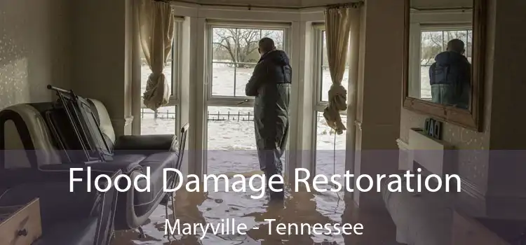 Flood Damage Restoration Maryville - Tennessee