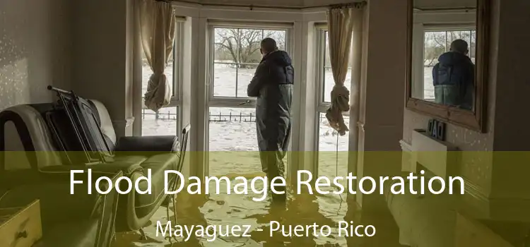 Flood Damage Restoration Mayaguez - Puerto Rico