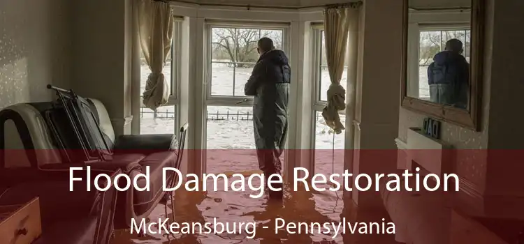 Flood Damage Restoration McKeansburg - Pennsylvania