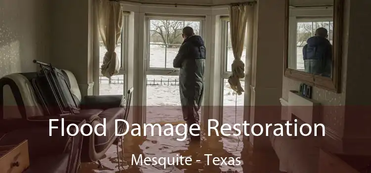 Flood Damage Restoration Mesquite - Texas