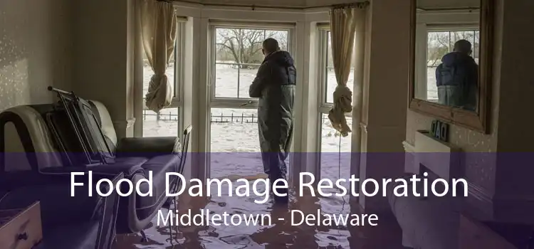 Flood Damage Restoration Middletown - Delaware