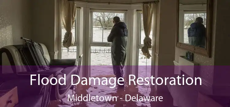 Flood Damage Restoration Middletown - Delaware