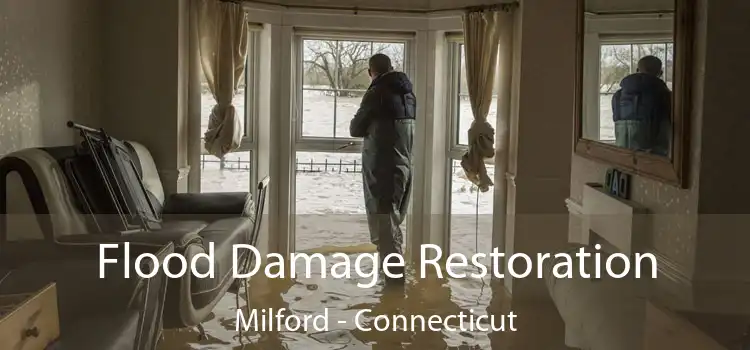 Flood Damage Restoration Milford - Connecticut