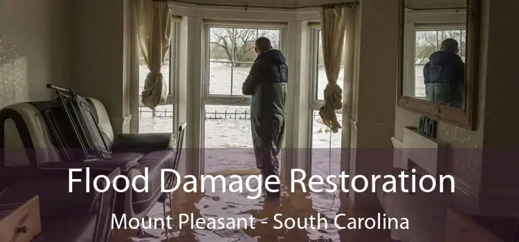 Flood Damage Restoration Mount Pleasant - South Carolina