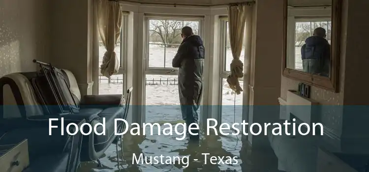 Flood Damage Restoration Mustang - Texas