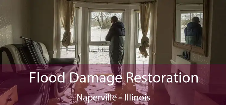 Flood Damage Restoration Naperville - Illinois