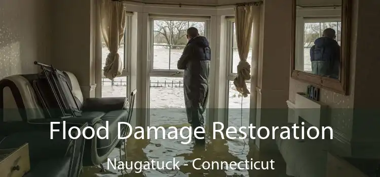 Flood Damage Restoration Naugatuck - Connecticut