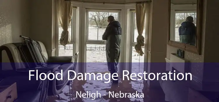 Flood Damage Restoration Neligh - Nebraska