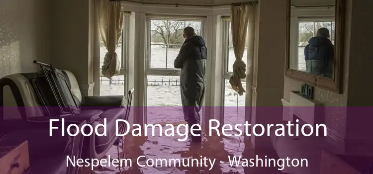 Flood Damage Restoration Nespelem Community - Washington