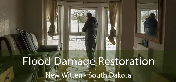 Flood Damage Restoration New Witten - South Dakota