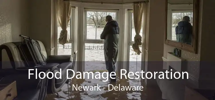 Flood Damage Restoration Newark - Delaware