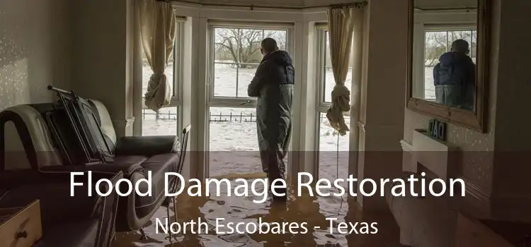 Flood Damage Restoration North Escobares - Texas