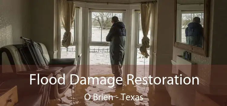 Flood Damage Restoration O Brien - Texas
