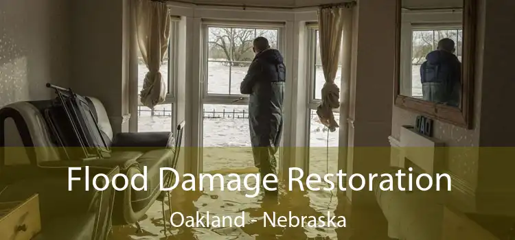 Flood Damage Restoration Oakland - Nebraska