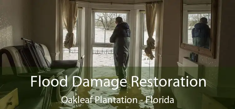 Flood Damage Restoration Oakleaf Plantation - Florida