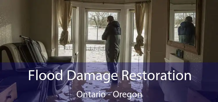 Flood Damage Restoration Ontario - Oregon