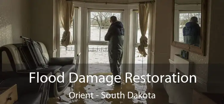 Flood Damage Restoration Orient - South Dakota